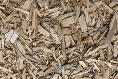 biomass boilers Ludstock